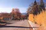 Peaceful and quiet roads 